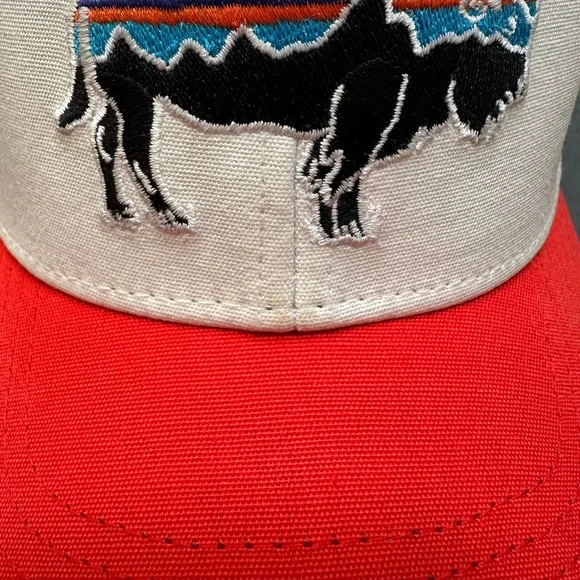 Patagonia Fitz Roy Bison Trucker Hat - Picture 2 of 4